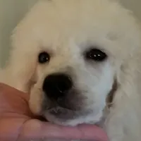 processed/2d5f6f43-9c28-474d-9d2c-5b547799a4b8/facility/a088dfa6-3bec-4304-81fa-606cf0b09570