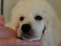 processed/2d5f6f43-9c28-474d-9d2c-5b547799a4b8/facility/a088dfa6-3bec-4304-81fa-606cf0b09570