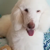 processed/2d5f6f43-9c28-474d-9d2c-5b547799a4b8/facility/c3bc7e21-8214-4a30-b8d4-d5b594ab37e0