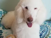 processed/2d5f6f43-9c28-474d-9d2c-5b547799a4b8/facility/c3bc7e21-8214-4a30-b8d4-d5b594ab37e0