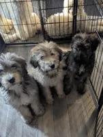 processed/2d5f6f43-9c28-474d-9d2c-5b547799a4b8/facility/cde3314b-eb72-4c98-8161-832ff435bd0c