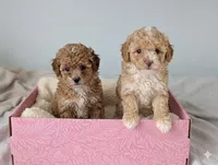 processed/2d5f6f43-9c28-474d-9d2c-5b547799a4b8/facility/d4fa2ec3-7a57-4303-9cd0-bfacd600c483