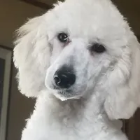 processed/2d5f6f43-9c28-474d-9d2c-5b547799a4b8/facility/eeeca0e7-39ef-419c-b62f-813349a0a35a