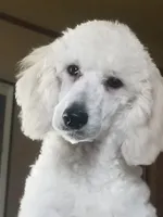 processed/2d5f6f43-9c28-474d-9d2c-5b547799a4b8/facility/eeeca0e7-39ef-419c-b62f-813349a0a35a