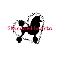 Brook * Small Standard, a female Poodle - Standard  for sale in Southfield, MI – 7 of 8