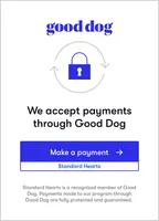 Master Yoda (Green eyes), a male Poodle - Standard  for sale in Southfield, MI – Photo 5 of 5