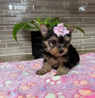 processed/2d610f90-d81d-43d4-a9f4-7b9a70732ffa/facility/36339921-880c-4b47-8146-3ff6da55b0c7