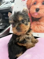 processed/2d610f90-d81d-43d4-a9f4-7b9a70732ffa/facility/7f75f99d-7464-48ad-ab09-9ac63803598b