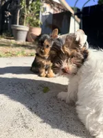 processed/2d610f90-d81d-43d4-a9f4-7b9a70732ffa/facility/b2589f6a-1d48-4200-aff7-23ced3f8fd86