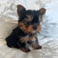 processed/2d610f90-d81d-43d4-a9f4-7b9a70732ffa/facility/f157077a-72c1-401d-8ea6-14880e096637