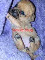 processed/2d637a1e-b60b-4f68-88ea-c801f30fab6a/listing/483ed794-8717-46f9-b612-95c50fea8633/6332ef72-2c7e-4f56-a236-57c483a1e6fd