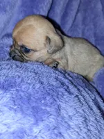 processed/2d637a1e-b60b-4f68-88ea-c801f30fab6a/listing/483ed794-8717-46f9-b612-95c50fea8633/82077f3c-ec69-4892-884a-e435b8f22803