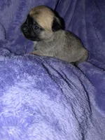 processed/2d637a1e-b60b-4f68-88ea-c801f30fab6a/listing/4cb94012-9c5c-4cd4-930c-11ca1da48d0c/30377d28-2c65-4f2a-9e4d-a10abd9998d5