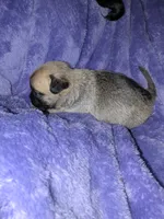 processed/2d637a1e-b60b-4f68-88ea-c801f30fab6a/listing/4cb94012-9c5c-4cd4-930c-11ca1da48d0c/3f4bfc3e-40f3-4d73-9476-ba8375092f32