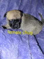 processed/2d637a1e-b60b-4f68-88ea-c801f30fab6a/listing/4cb94012-9c5c-4cd4-930c-11ca1da48d0c/e3eebb87-3b0b-4f34-a9ea-a09677aa77cf