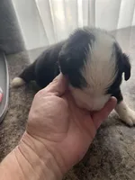 processed/2d6b821a-ea60-4509-ab8b-b68b6ab0c40c/listing/7a961775-5015-40a4-9c30-14a1dd5996fb/3403e540-1d80-4c59-b490-95e84c94e4bc