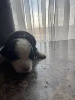 processed/2d6b821a-ea60-4509-ab8b-b68b6ab0c40c/listing/7a961775-5015-40a4-9c30-14a1dd5996fb/7c7e5e48-8fd8-429f-8152-2c0c20a62d27