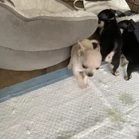 processed/2d6cb295-0840-4677-b6f3-37c2058ce7a2/facility/08eebc07-0574-4ec9-a317-90c3d42c3b67