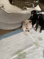 processed/2d6cb295-0840-4677-b6f3-37c2058ce7a2/facility/08eebc07-0574-4ec9-a317-90c3d42c3b67