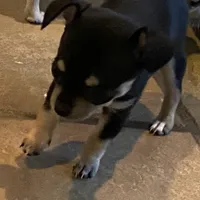 processed/2d6cb295-0840-4677-b6f3-37c2058ce7a2/facility/4f92a6b2-d4c8-4cfc-afbd-7a0ba2508fd1