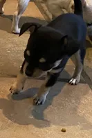 processed/2d6cb295-0840-4677-b6f3-37c2058ce7a2/facility/4f92a6b2-d4c8-4cfc-afbd-7a0ba2508fd1