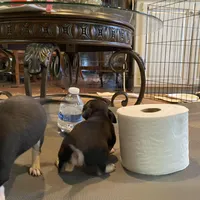 processed/2d6cb295-0840-4677-b6f3-37c2058ce7a2/facility/ac0d0e0f-f1cb-4244-845a-0bf2ffe59170