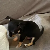 processed/2d6cb295-0840-4677-b6f3-37c2058ce7a2/facility/bc904f01-07ba-414d-8198-a41e12f0fe9b