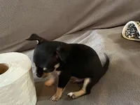 processed/2d6cb295-0840-4677-b6f3-37c2058ce7a2/facility/bc904f01-07ba-414d-8198-a41e12f0fe9b