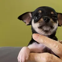 processed/2d6cb295-0840-4677-b6f3-37c2058ce7a2/facility/c8a92c7e-29bd-48bb-ae84-d783f4099e9c