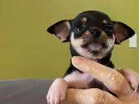 processed/2d6cb295-0840-4677-b6f3-37c2058ce7a2/facility/c8a92c7e-29bd-48bb-ae84-d783f4099e9c