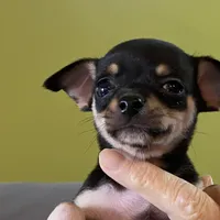 processed/2d6cb295-0840-4677-b6f3-37c2058ce7a2/facility/f79154f5-dfce-4ea7-a1cf-5a4c14fb1bd4