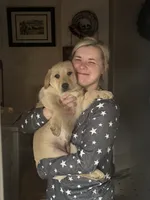 Birna, a female Labrador Retriever for sale in King, NC – Photo 2 of 9