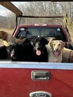 processed/2d6eb47a-e657-4298-99af-3926dedfe7e5/listing/fa0cdabe-9f5c-4f90-a86b-f2f831b0c0d2/5f12a0fe-a856-438d-9cb8-5e4f5b5f8acb