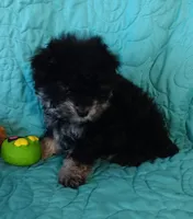 processed/2d75134c-4332-4844-9307-06d9f4992d9f/listing/77a11950-86f8-425d-8838-442fadf82eec/555342a1-04e8-4982-8081-314d748977f2