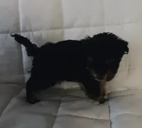 processed/2d75134c-4332-4844-9307-06d9f4992d9f/listing/77a11950-86f8-425d-8838-442fadf82eec/7c5abb00-83e0-4383-aa21-0eb868e9f209