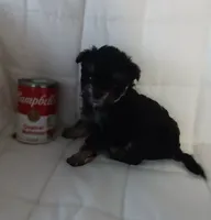 processed/2d75134c-4332-4844-9307-06d9f4992d9f/listing/77a11950-86f8-425d-8838-442fadf82eec/81afb45e-c7be-4028-bc25-865931a397fc