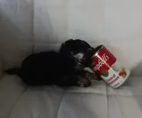 processed/2d75134c-4332-4844-9307-06d9f4992d9f/listing/77a11950-86f8-425d-8838-442fadf82eec/8bba24b5-88ce-4127-99c6-c5ab95dc9ad5