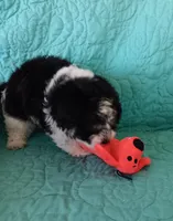 processed/2d75134c-4332-4844-9307-06d9f4992d9f/listing/b3261426-72a9-45ba-bdab-2e2fc3c7b37d/4b8f7afc-8c18-4129-aa02-baabe5de4e64