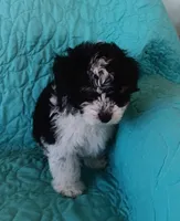 processed/2d75134c-4332-4844-9307-06d9f4992d9f/listing/b3261426-72a9-45ba-bdab-2e2fc3c7b37d/5d3a339a-2386-476a-be81-11d3275609e6