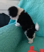 processed/2d75134c-4332-4844-9307-06d9f4992d9f/listing/b3261426-72a9-45ba-bdab-2e2fc3c7b37d/5ed7f25b-71aa-41e3-8e3a-b71acd82e4d8