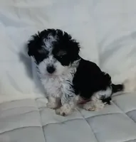 processed/2d75134c-4332-4844-9307-06d9f4992d9f/listing/b3261426-72a9-45ba-bdab-2e2fc3c7b37d/a1cb1b87-0a06-4690-9734-9e87e81bc7f8