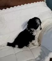 processed/2d75134c-4332-4844-9307-06d9f4992d9f/listing/b3261426-72a9-45ba-bdab-2e2fc3c7b37d/f3217a12-1a42-403e-a575-ad4ae4e810bd