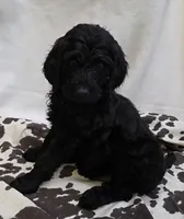 processed/2d77c190-e3f9-4e3b-b33b-db2f8a7cd204/listing/158dc781-34b4-42ec-a34e-0e18a3144ddd/3a6f55c8-4f97-4850-aa44-09f960f40ef0