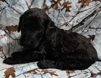 processed/2d77c190-e3f9-4e3b-b33b-db2f8a7cd204/listing/158dc781-34b4-42ec-a34e-0e18a3144ddd/a216fbbb-7d75-4a28-ba12-16e8717057d1