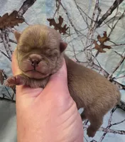 processed/2d77c190-e3f9-4e3b-b33b-db2f8a7cd204/listing/1ae0b439-c70e-4edf-967b-4a540dc674a3/13fec7d9-3cef-4344-9a12-057b77af6107