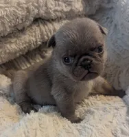 processed/2d77c190-e3f9-4e3b-b33b-db2f8a7cd204/listing/1ae0b439-c70e-4edf-967b-4a540dc674a3/73afc6e4-3c74-42db-9a27-41672066a8cc