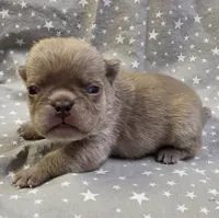 processed/2d77c190-e3f9-4e3b-b33b-db2f8a7cd204/listing/1ae0b439-c70e-4edf-967b-4a540dc674a3/8f56e7bc-f7f1-452a-9da2-dba3c4401abf