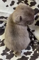 processed/2d77c190-e3f9-4e3b-b33b-db2f8a7cd204/listing/1ae0b439-c70e-4edf-967b-4a540dc674a3/d5e8f824-2441-4250-99e1-a57df9d31ee6