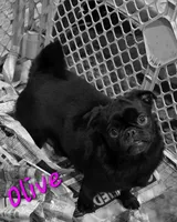 processed/2d77c190-e3f9-4e3b-b33b-db2f8a7cd204/listing/1ae0b439-c70e-4edf-967b-4a540dc674a3/d72b7b01-4b45-4cdf-bc88-0bde8c33631b