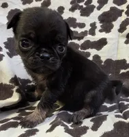 processed/2d77c190-e3f9-4e3b-b33b-db2f8a7cd204/listing/2b211faa-e95d-49e2-a016-e58a64e222ff/15d96ad2-3ed9-43ef-9d42-fb62c84ca434